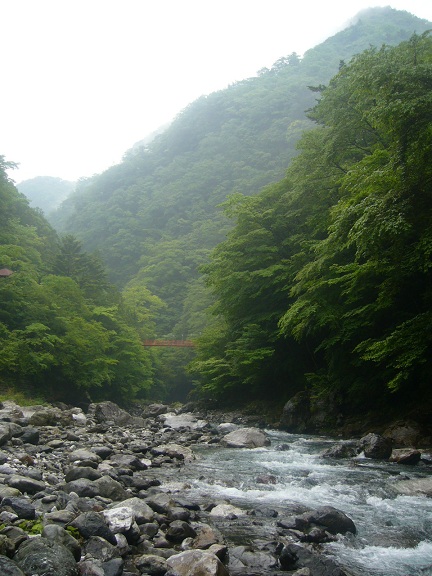f0067354_21285577.jpg