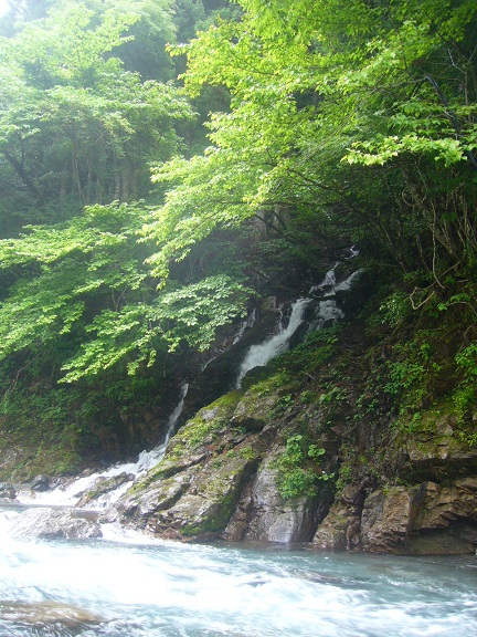 f0067354_21293534.jpg