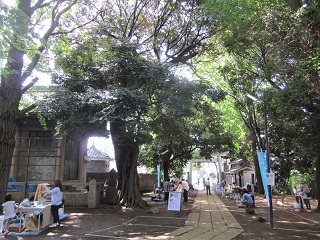 d0158258_16515553.jpg