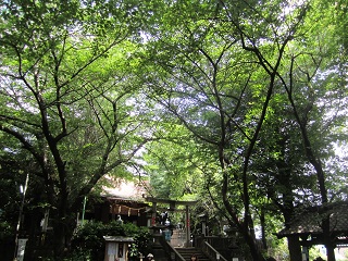 d0158258_16521165.jpg