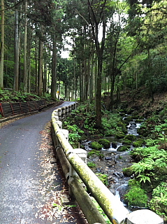 a0157160_20124359.jpg