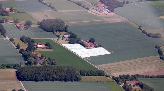 f0097363_23591332.jpg