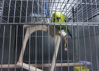 f0196665_014298.jpg