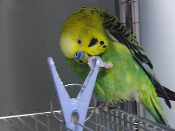 f0196665_0241267.jpg
