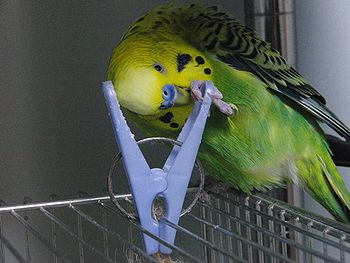 f0196665_0242566.jpg