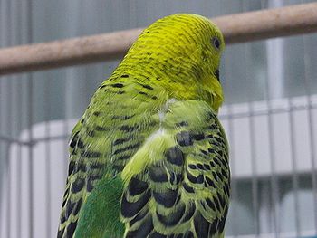 f0196665_0255429.jpg