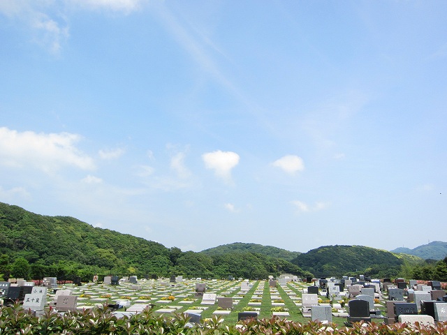 e0078069_930459.jpg
