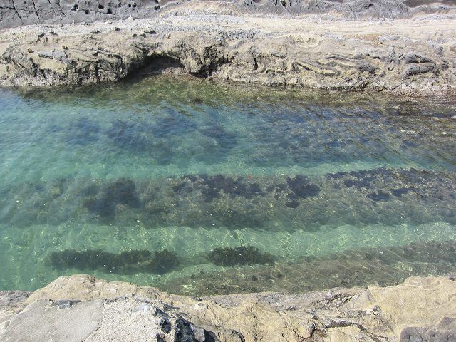 e0078069_930563.jpg