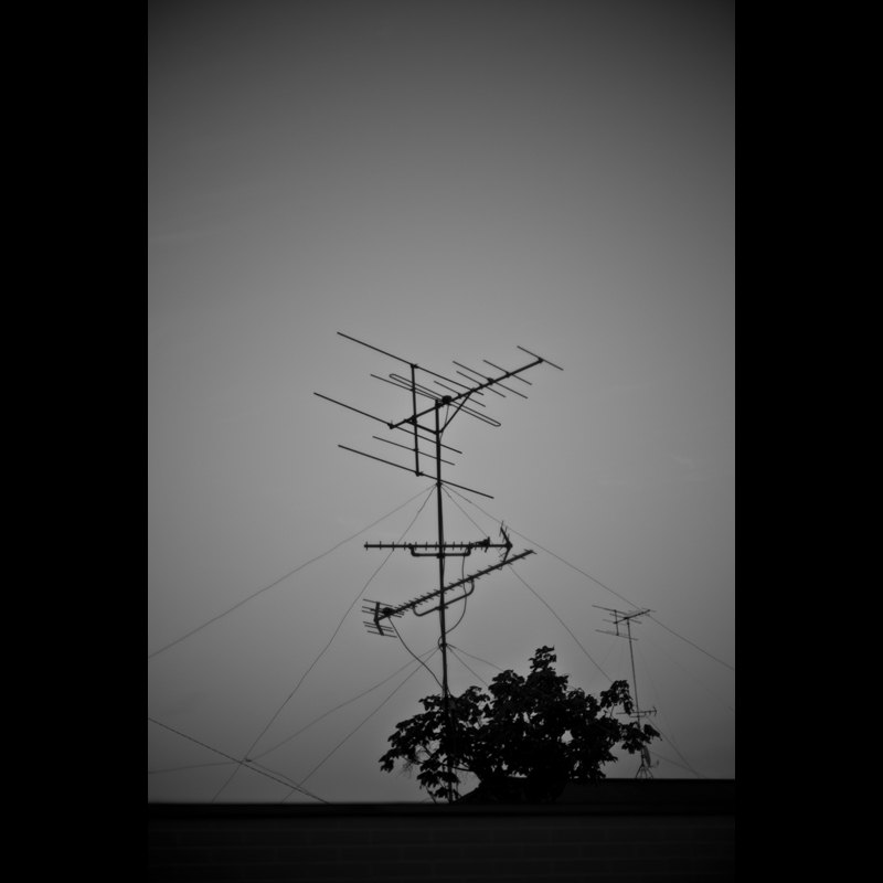 c0118173_20463892.jpg