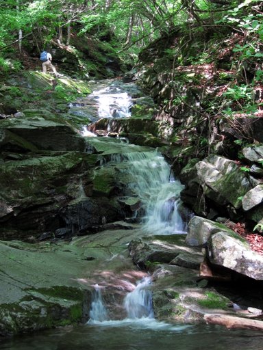 f0054075_1655152.jpg