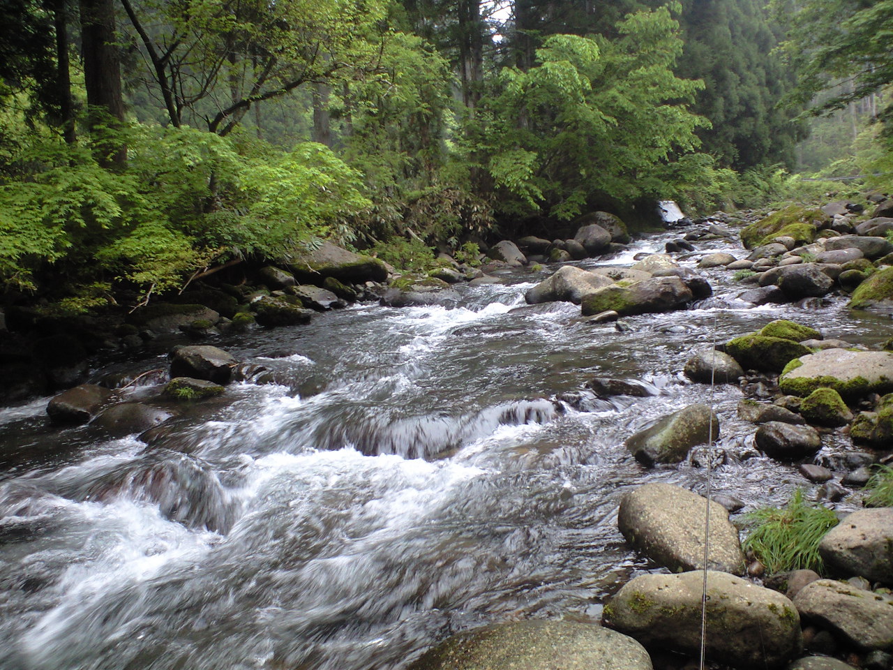 a0093677_19341134.jpg