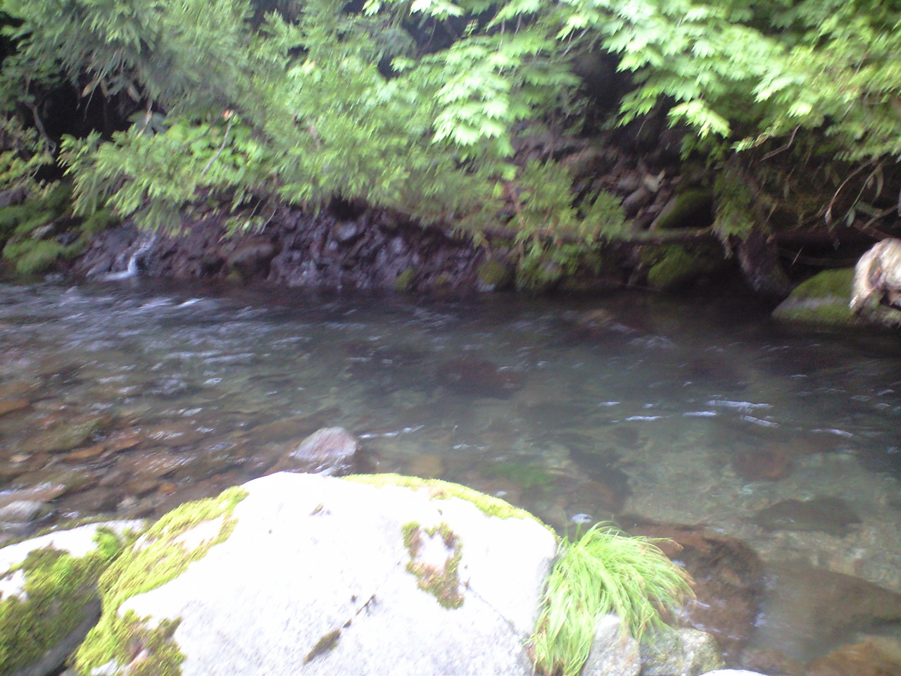 a0093677_19373184.jpg