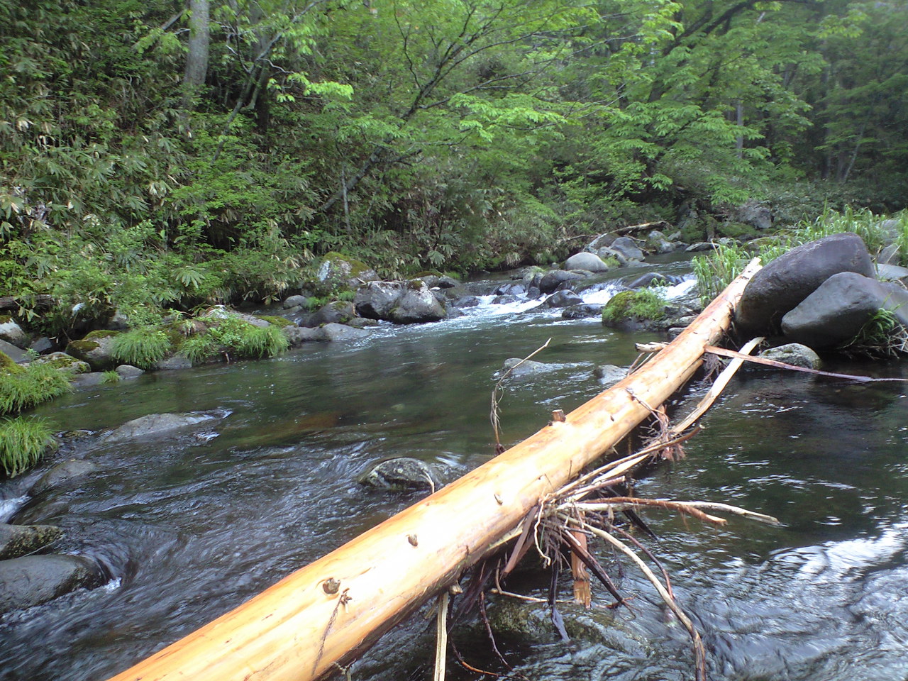 a0093677_19385688.jpg