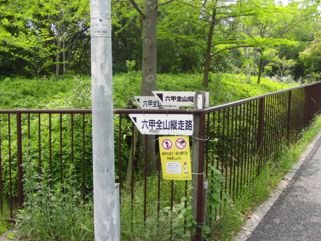 c0206177_15494419.jpg