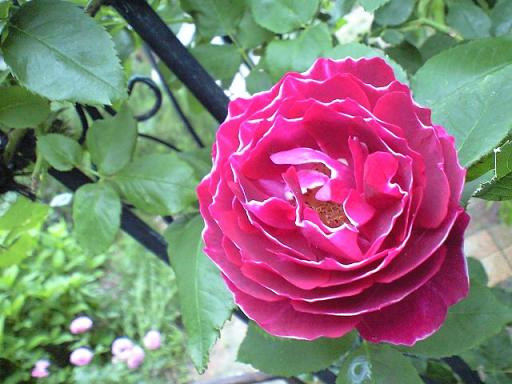 c0012180_22593881.jpg