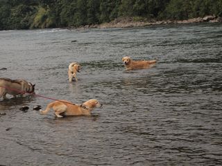 e0012580_21265363.jpg