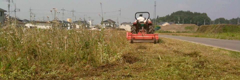 c0170789_16411121.jpg