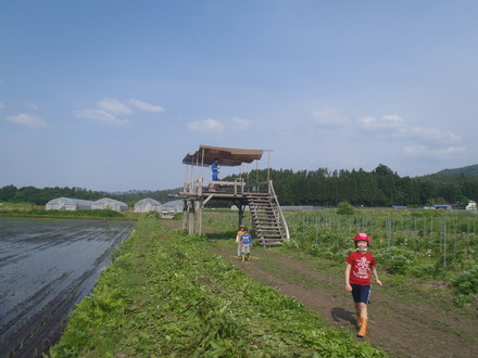 e0211293_6444559.jpg