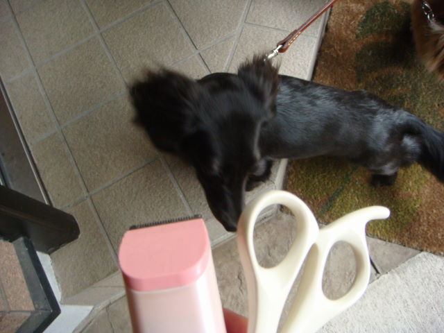 d0098295_23545613.jpg