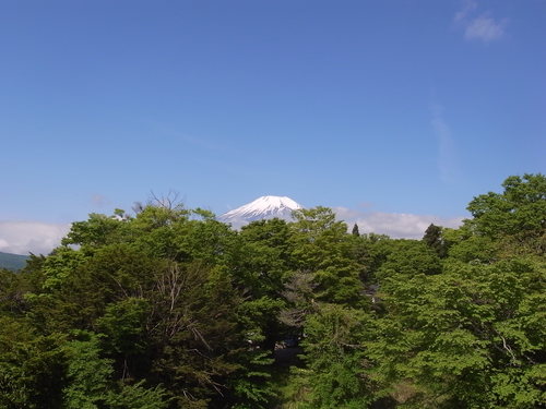 f0084795_14505.jpg