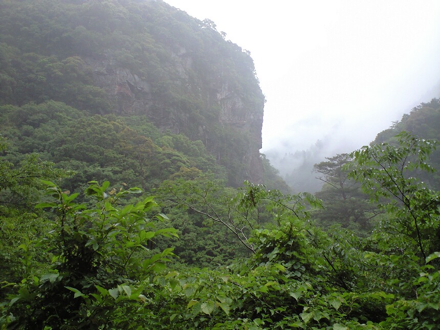a0143296_142527.jpg