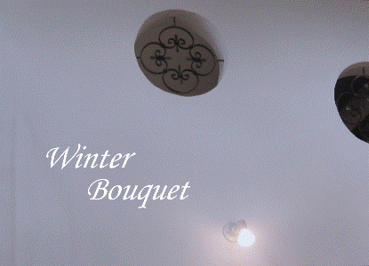c0173697_10235244.gif