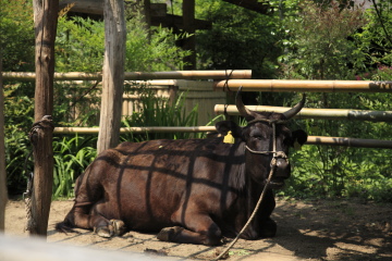 f0103797_20492264.jpg