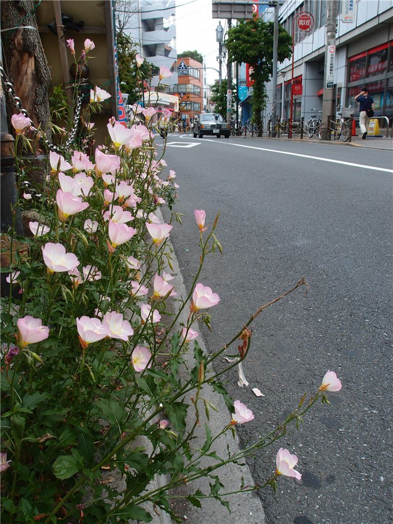 f0224100_23305064.jpg