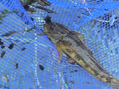 f0082402_0281672.jpg
