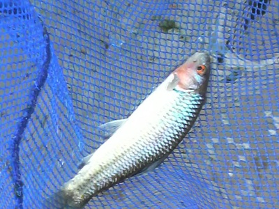 f0082402_0411276.jpg