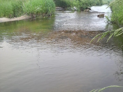 f0082402_2358731.jpg