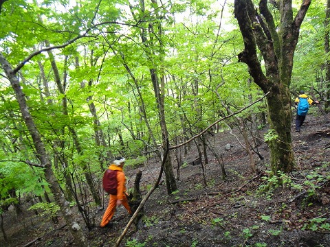 f0187402_21165987.jpg