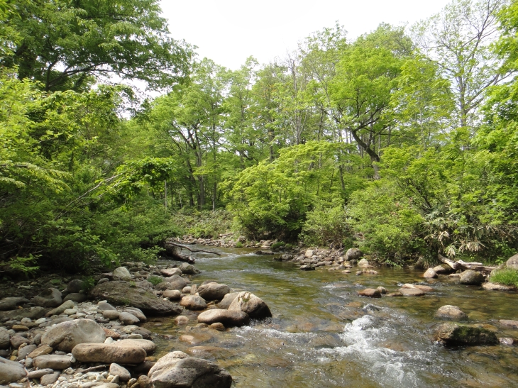 b0172805_12365610.jpg