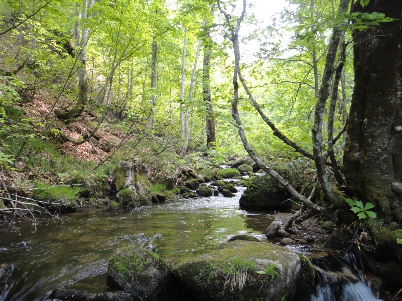 b0172805_1240160.jpg