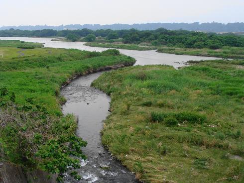 e0123808_2332767.jpg