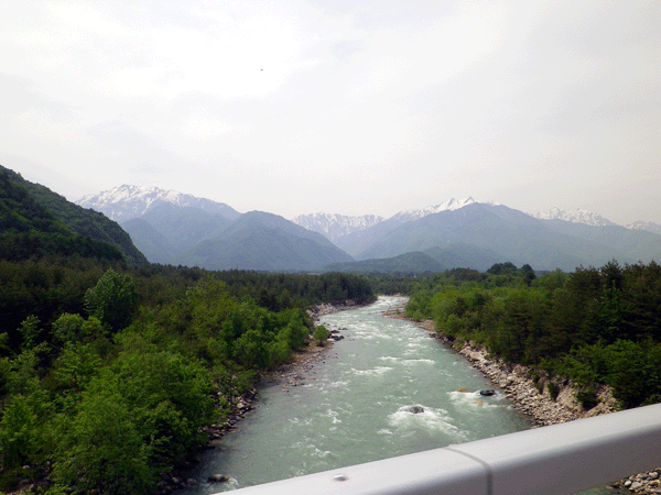 b0000209_211468.gif