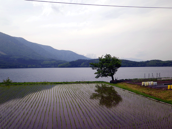 b0000209_2124826.gif