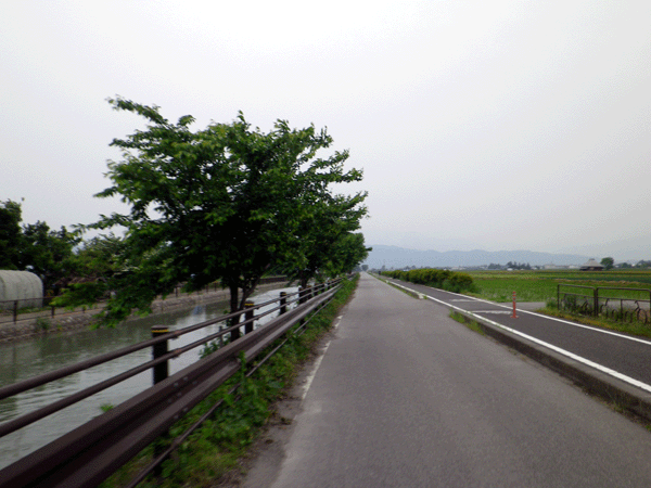 b0000209_21295469.gif