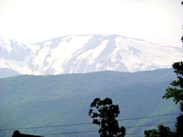 b0000209_2132262.gif