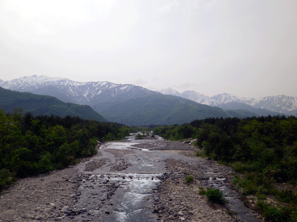 b0000209_548255.gif
