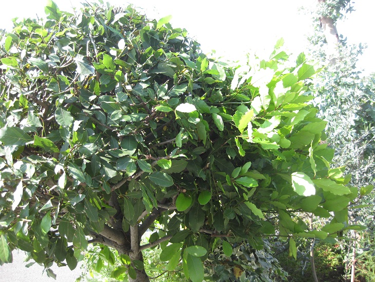f0179209_1023047.jpg