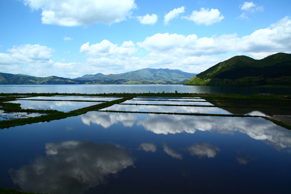 c0146510_20104.jpg