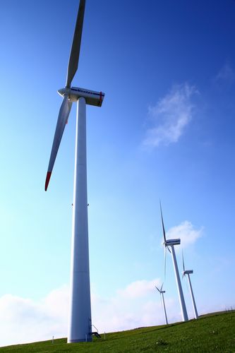 c0146510_204744.jpg