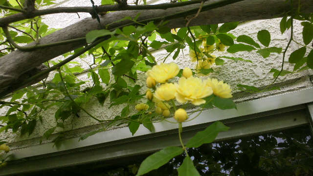 b0035611_19531437.jpg