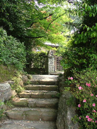 c0212214_15481.jpg