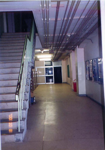 d0106518_02641.jpg