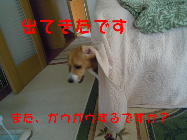 c0166622_83672.jpg