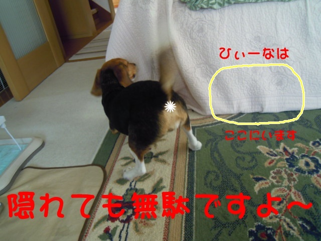 c0166622_8432597.jpg