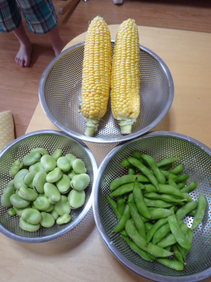 f0178622_2332529.jpg