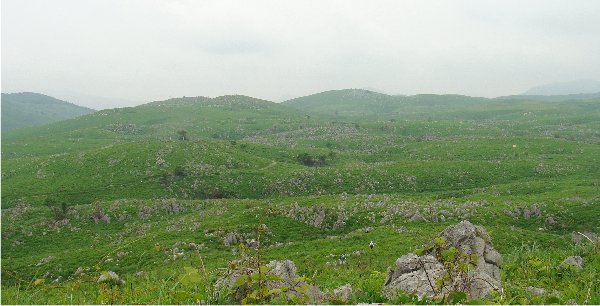 b0211627_18204596.jpg